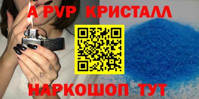 таблы Гусев
